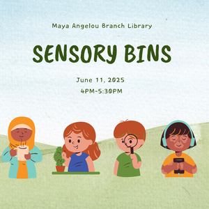 Sensory Bins 